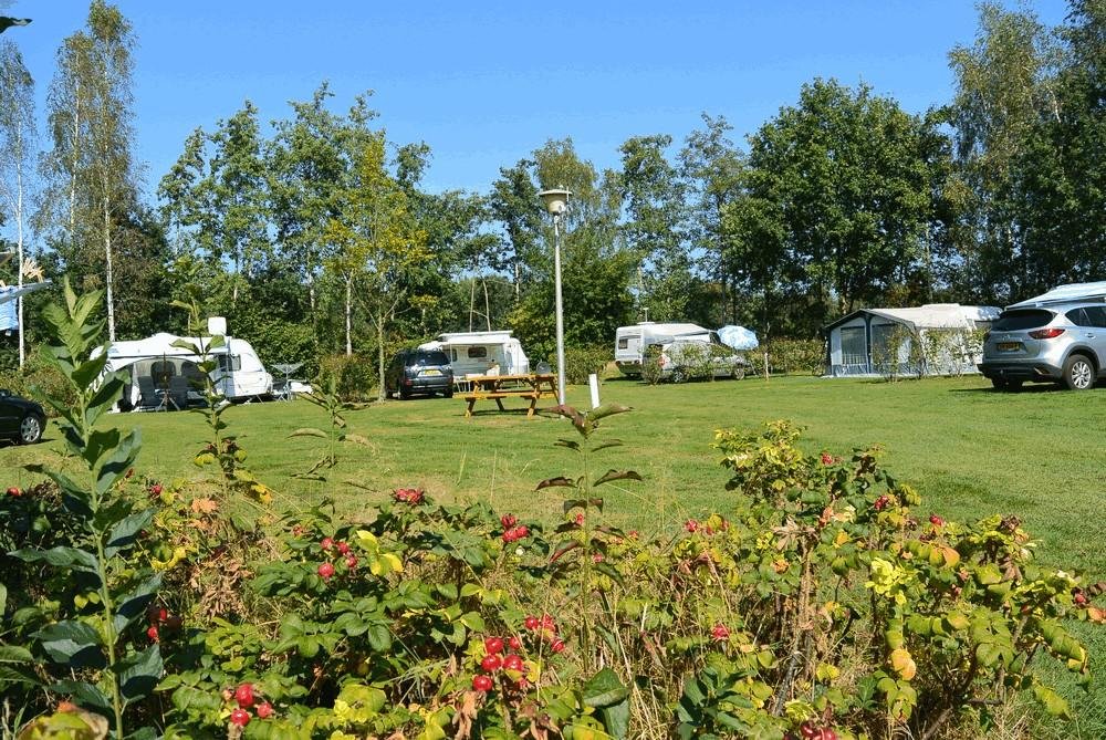 Camping Jelly`s Hoeve